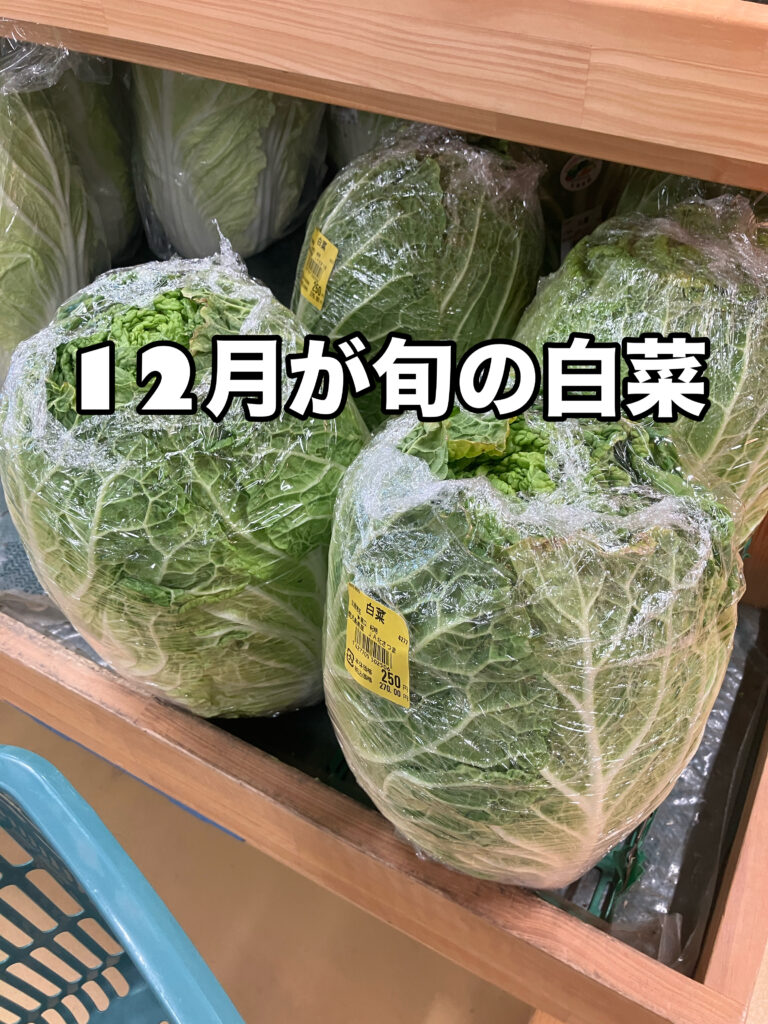 12月が旬の白菜