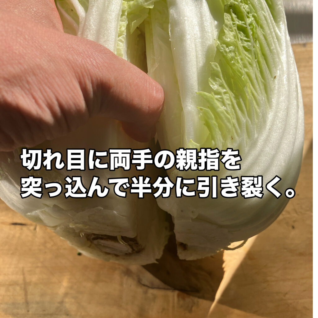 白菜に親指入れて縦に引き裂く